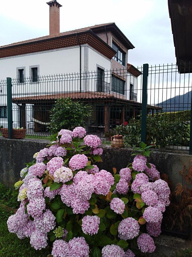 Hotel Reina Adosinda ปราเวีย ภายนอก รูปภาพ